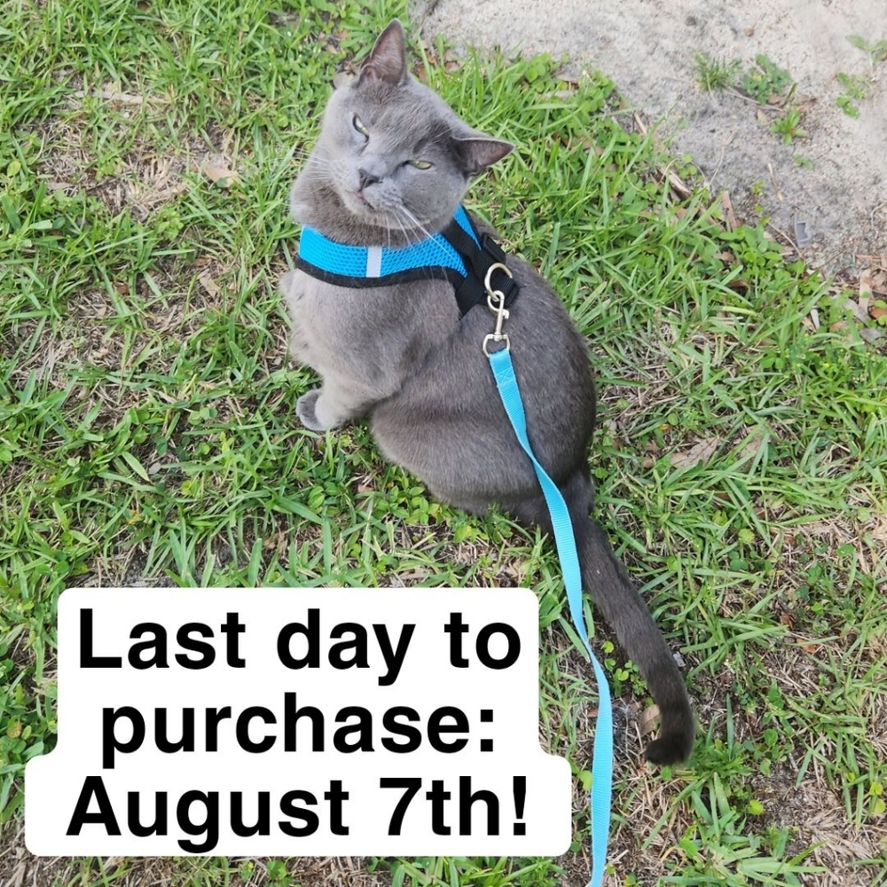 Last Day To Buy Is August 7th!